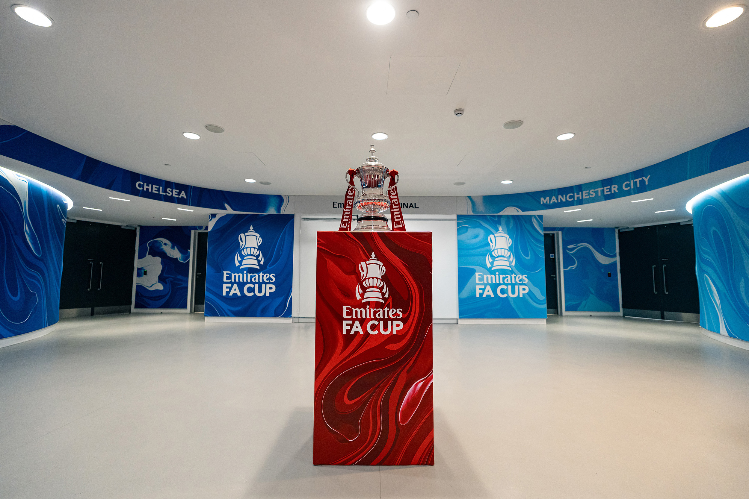 Craig Black x The FA_Acrylic Fusion Texture_Football Association